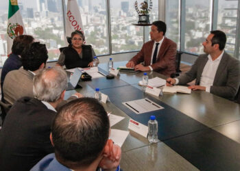 Trabajando por reacciones ágiles: ANFAD y SE