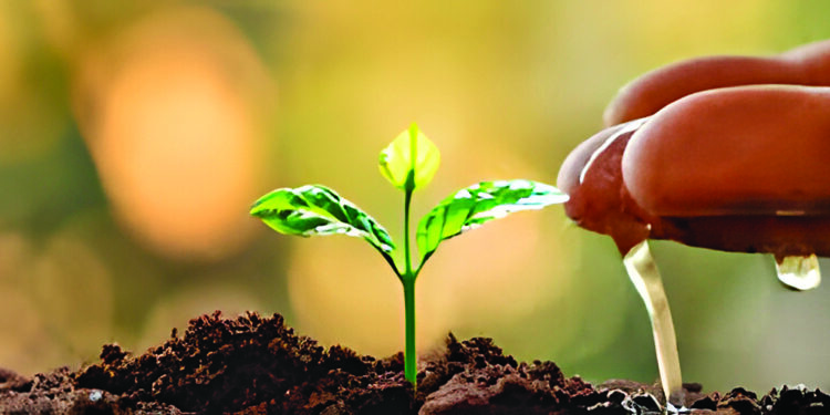 Nueva NOM-012-CONAGUA para regular grifería, válvulas y accesorios